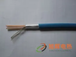 双导发热电缆